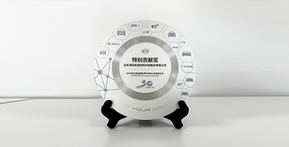 买球官网手机版·（中国）官方网站连续四年再度荣获比亚迪2024年“特别贡献奖”