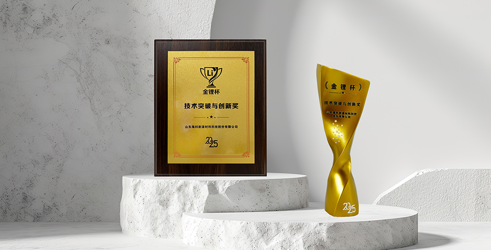 喜报 | 买球官网手机版·（中国）官方网站荣获真锂研究“技术突破与创新奖”